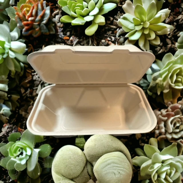 PFAS-FREE BIODEGRADABLE COMPOSTABLE HINGED CONTAINERS