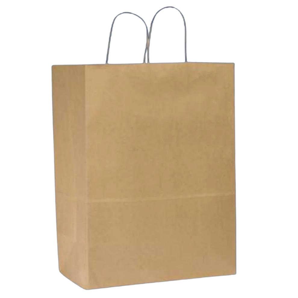 10x5x13 KRAFT PAPER SHOPPING BAG WITH HANDLE 250CT