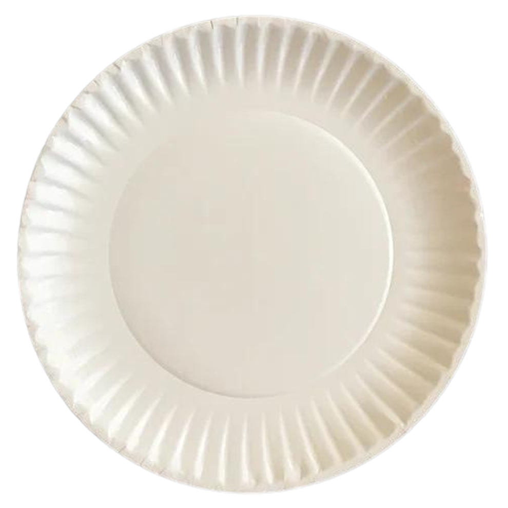 9" PAPER PLATE COATED WHITE - 1000CT